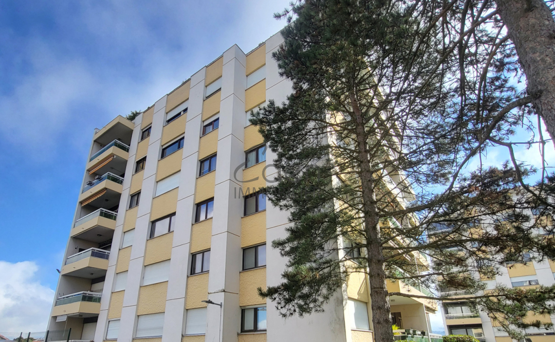 GAILLARD - T2 (SANS BALCON) A LOUER